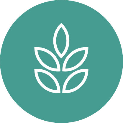 Regenerate Nature icon